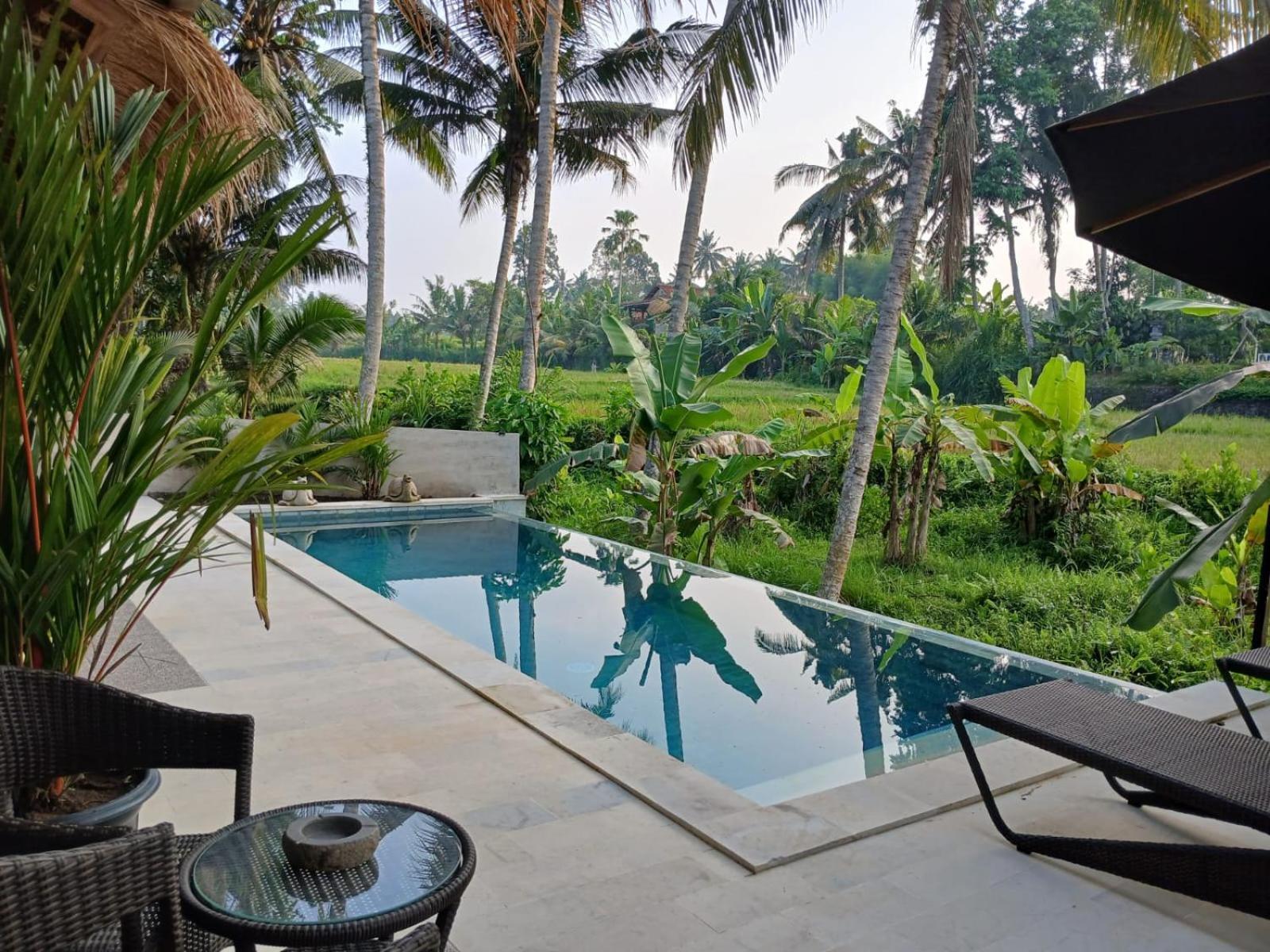 Bali View Ubud Hotel Exterior foto