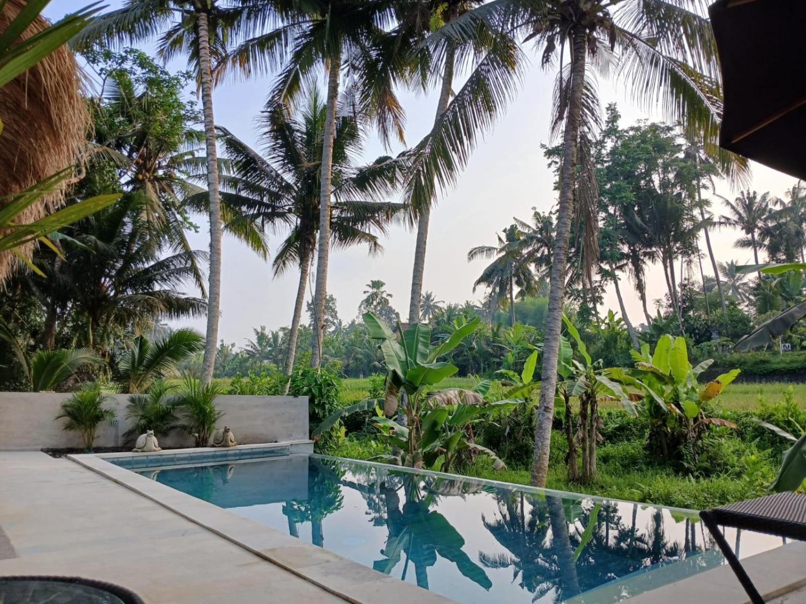 Bali View Ubud Hotel Exterior foto